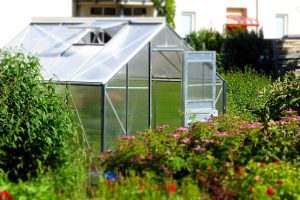 overdekt moestuintje