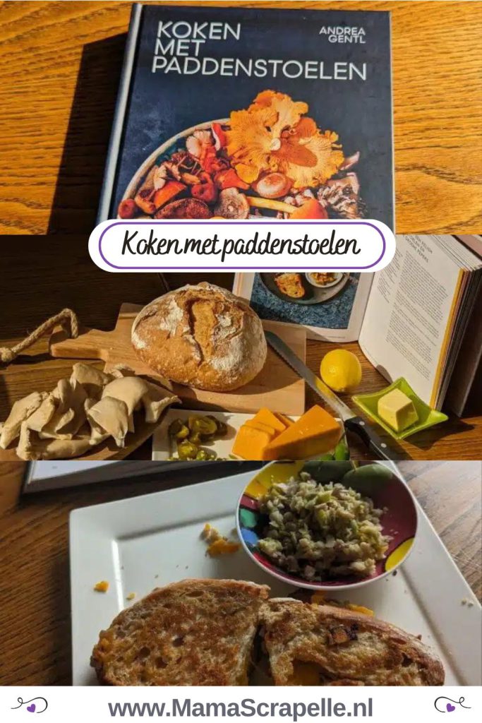 koken met paddenstoelen