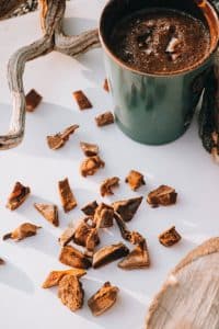 paddenstoelsupplementen reishi