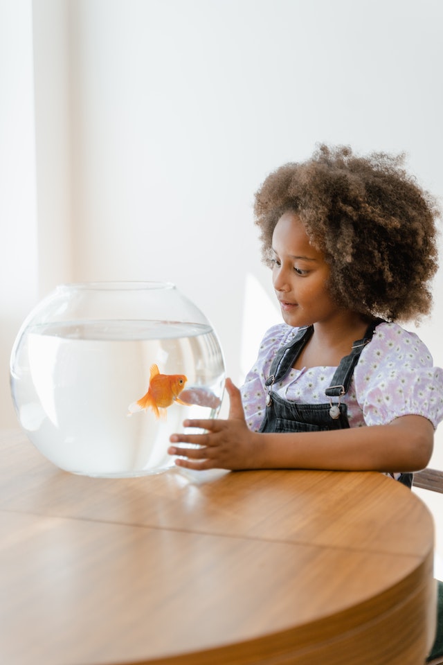 zoetwateraquarium