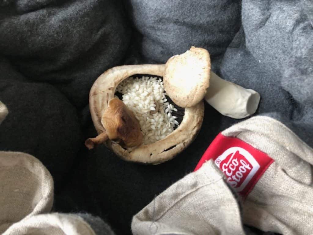 Vegan koken uit de Ecostoof recepten. Niet alleen duurzaam plantaardig, maar ook nog eens hartstikke handig en praktisch.