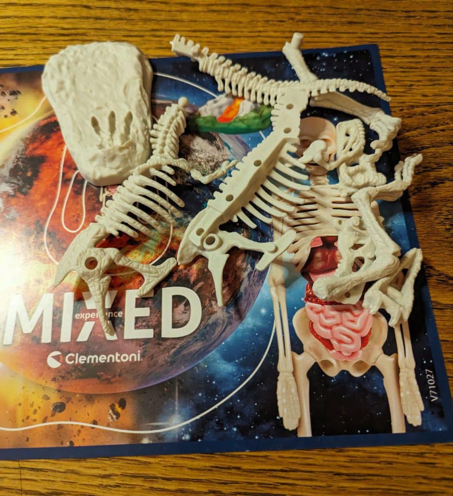 dino onderdelen