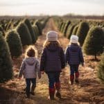 kerstboom uitzoeken met kinderen