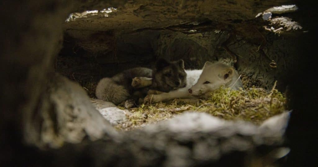 Kina Yuk leuke kinderfilms bioscoop 2024