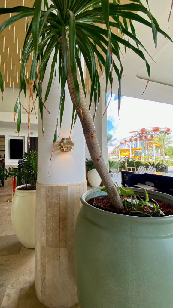 mangrove beach ervaring vakantie gezin kinderen