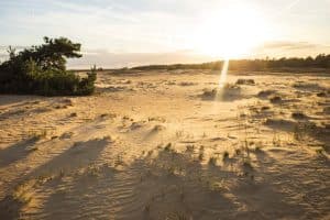 vakantie op de Veluwe