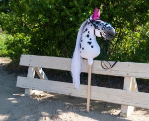 hobby horsing