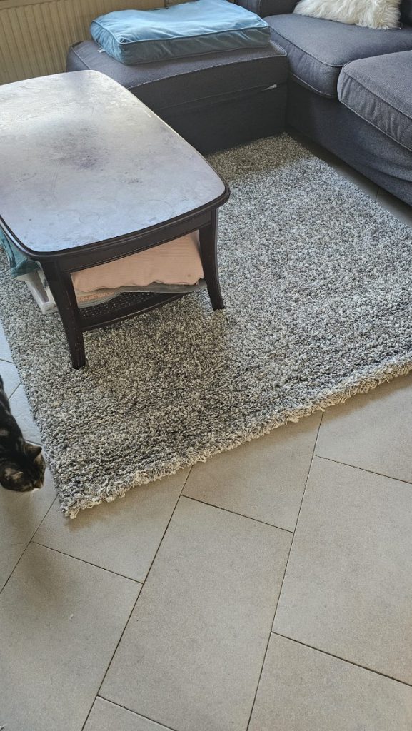 Een nieuwe vloerkleed kiezen