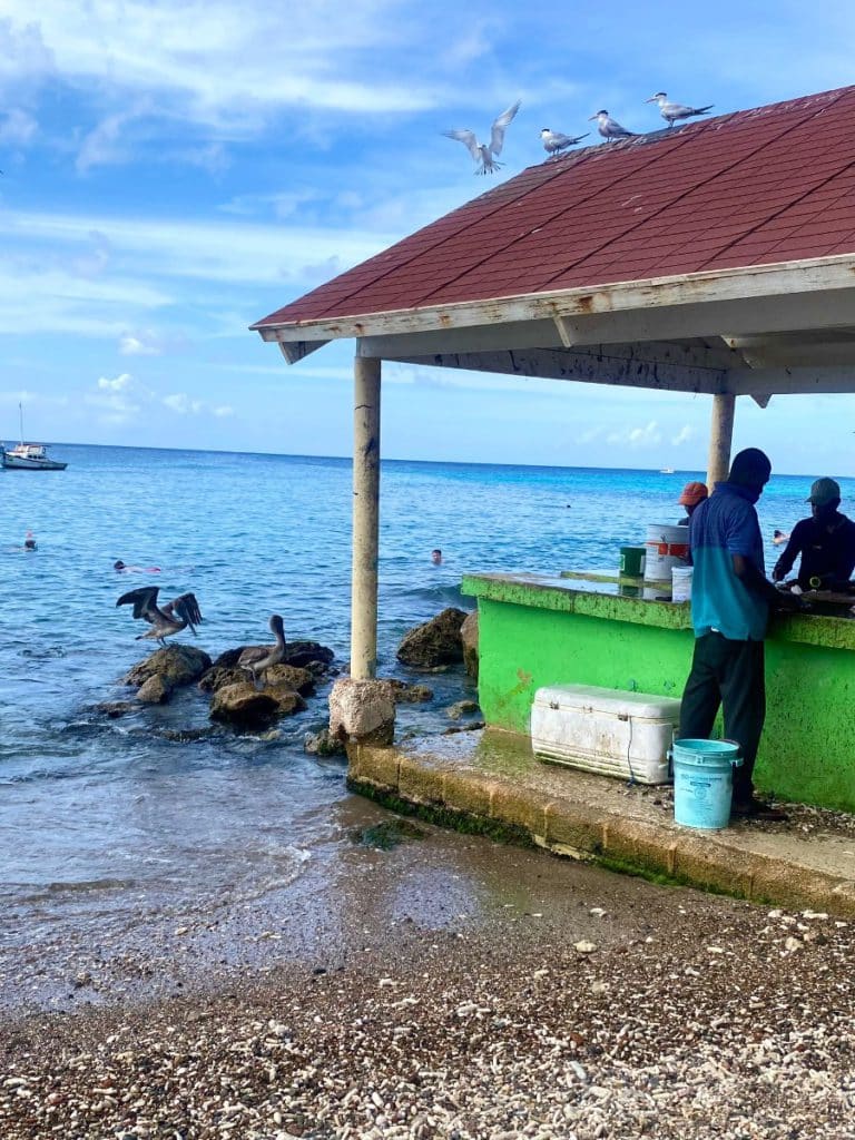 Wat te doen op Curaçao met kind? playa piskado palya grandi snorkelen zeeschildpadden kind kinderen familie vakantietip corendon