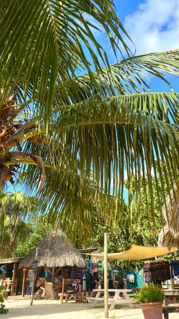 Wat te doen op Curaçao met kind? cas abou mooiste strand ter wereld tip familie ervaring