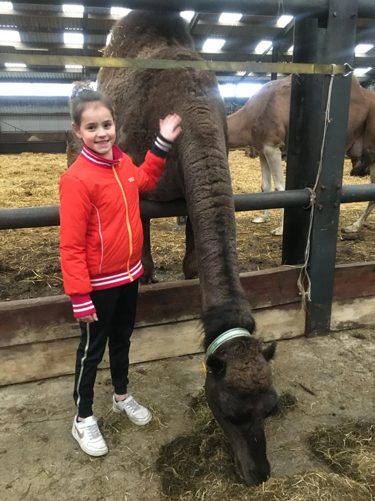 Origineel kinderfeest. Kinderfeestje op de kamelenboerderij! Kamelen voeren, zitten op een kameel, spelen met hooi, kamelenmelk pannenkoeken