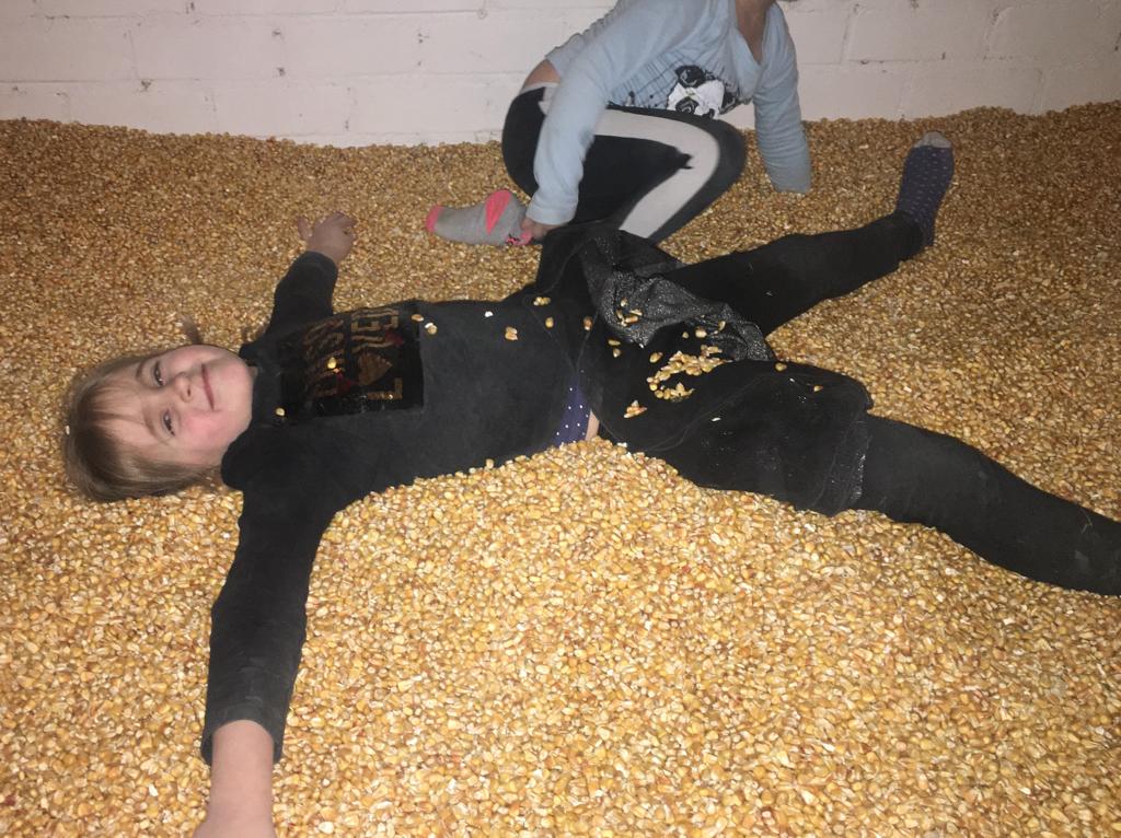 Origineel kinderfeest. Kinderfeestje op de kamelenboerderij! Kamelen voeren, zitten op een kameel, spelen met hooi, kamelenmelk pannenkoeken