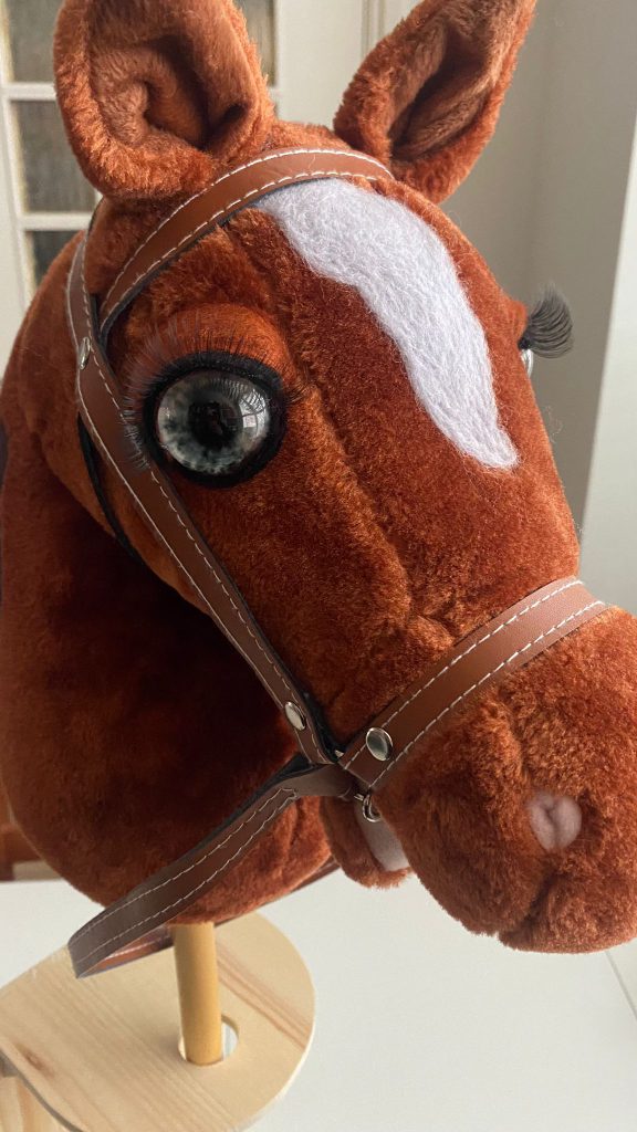 hobby horse ogen maken prachtig zelfgemaakt paard