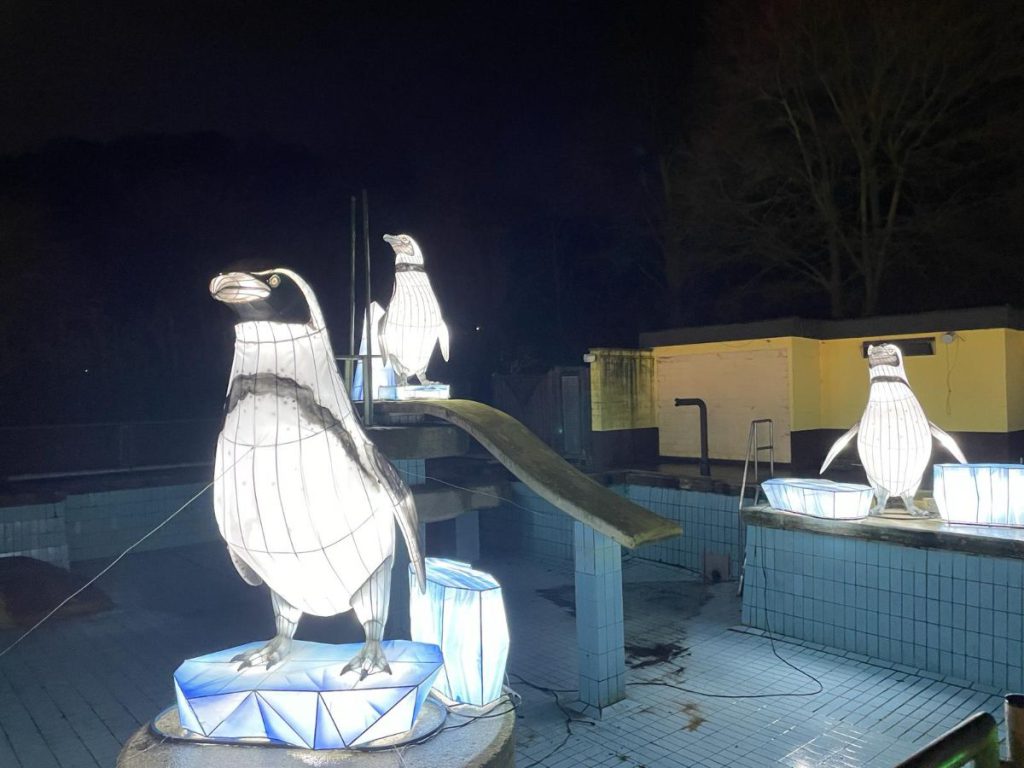Pinguïns In de avond naar Tiergarten Kleve, vanwege 65 jaar dierentuin. Tot 30 maart 2024 China Lights festival. Een lichtfestival met dieren! Foto's 
