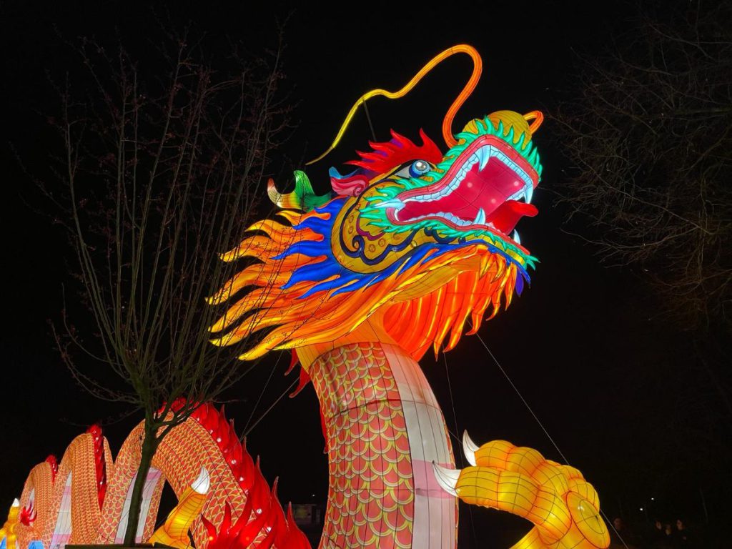 In de avond naar Tiergarten Kleve, vanwege 65 jaar dierentuin. Tot 30 maart 2024 China Lights festival. Een lichtfestival met dieren! Foto's