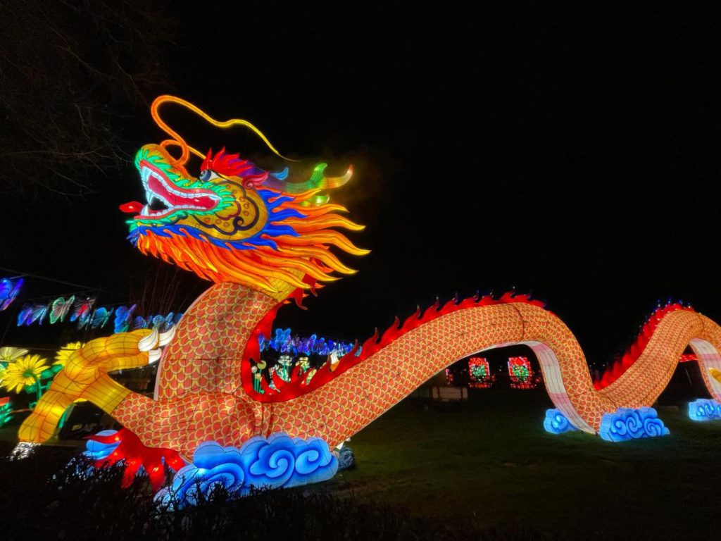 Lichtgevende draak In de avond naar Tiergarten Kleve, vanwege 65 jaar dierentuin. Tot 30 maart 2024 China Lights festival. Een lichtfestival met dieren! 