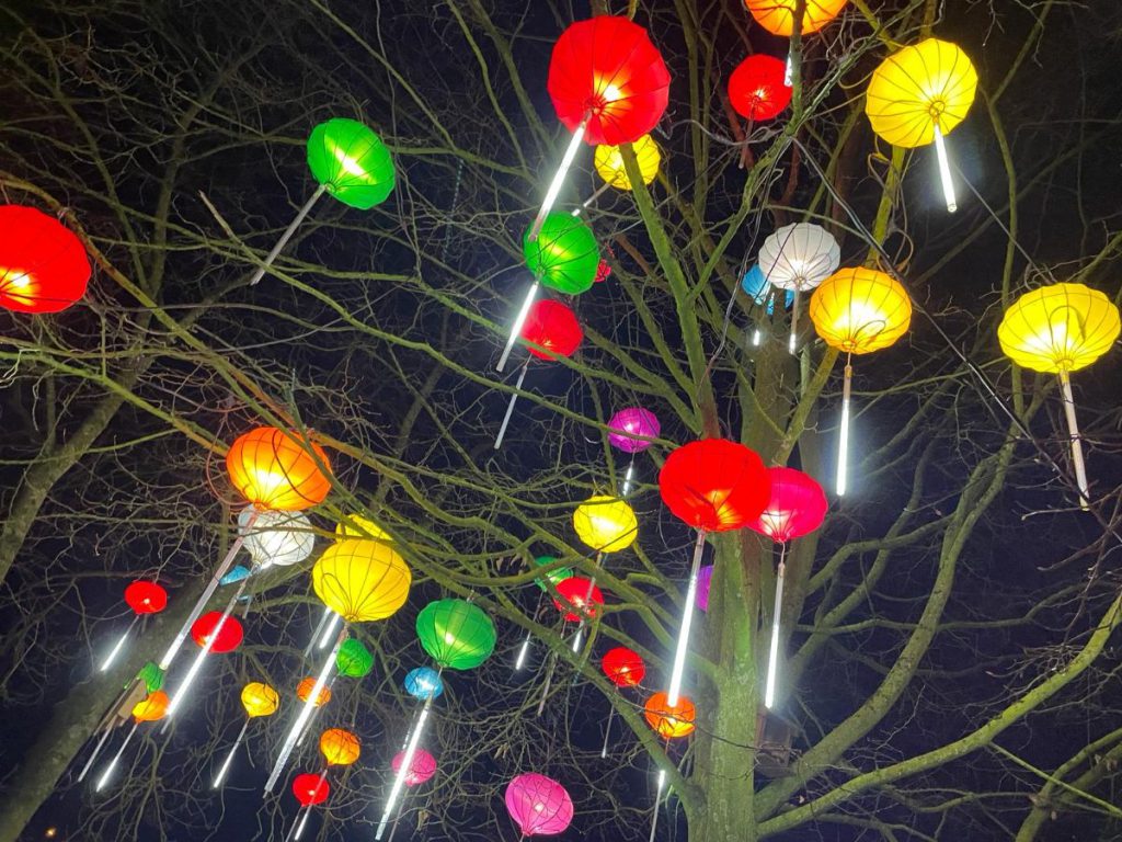 In de avond naar Tiergarten Kleve, vanwege 65 jaar dierentuin. Tot 30 maart 2024 China Lights festival. Een lichtfestival met dieren!