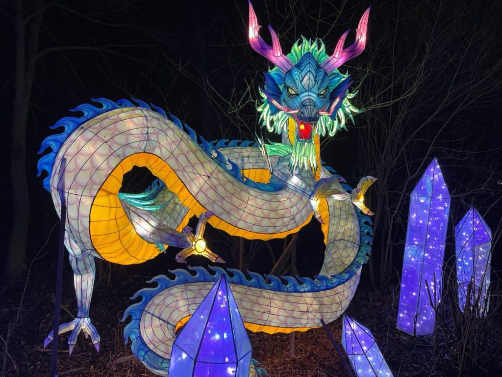 draak lichtgevend In de avond naar Tiergarten Kleve, vanwege 65 jaar dierentuin. Tot 30 maart 2024 een lichtfestival met dieren! 