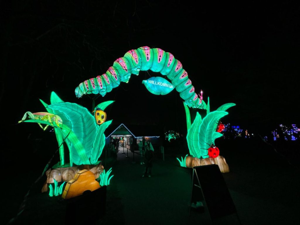 Kriebelbeestjes die licht geven. Lieveheersbeestje en rups