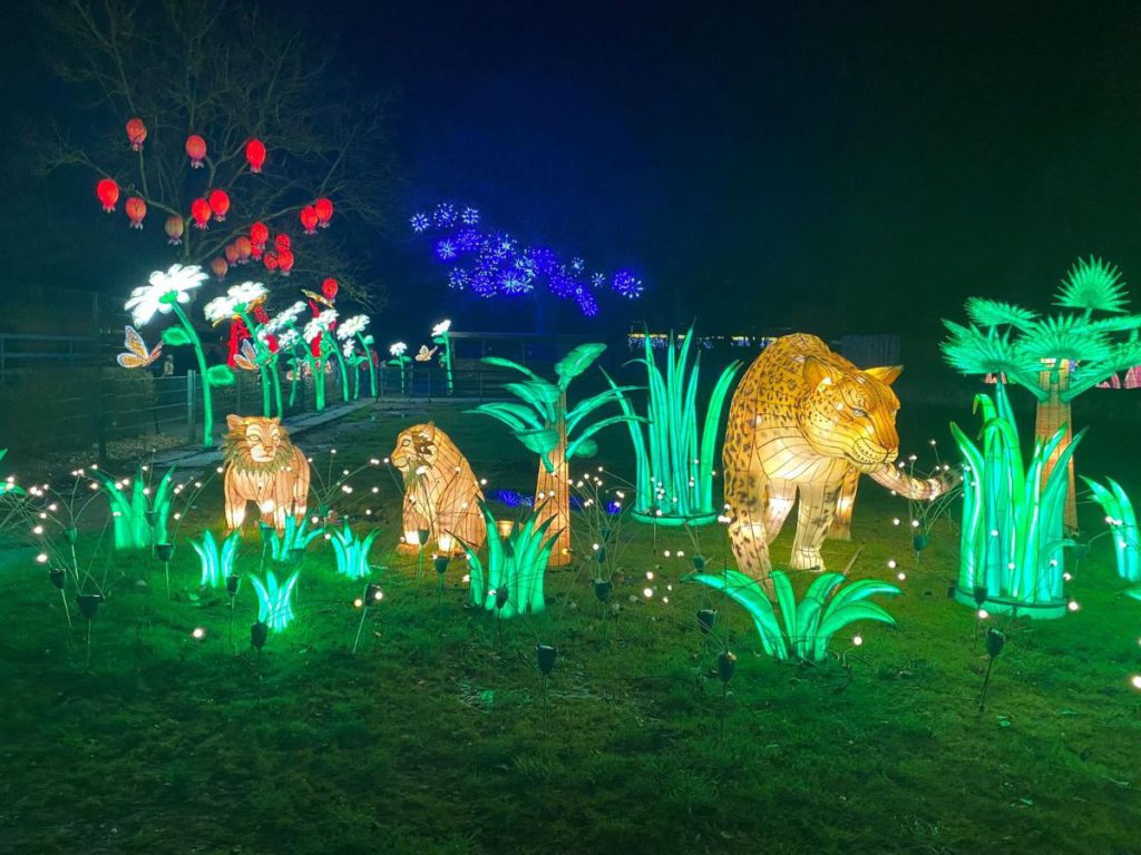 In de avond naar Tiergarten Kleve, vanwege 65 jaar dierentuin. Tot 30 maart 2024 China Lights festival. Een lichtfestival met dieren! Foto's 