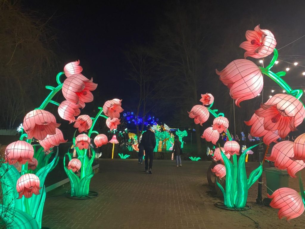 In de avond naar Tiergarten Kleve, vanwege 65 jaar dierentuin. Tot 30 maart 2024 China Lights festival. Een lichtfestival met dieren! Foto's