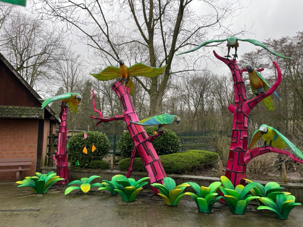papegaaien overdag