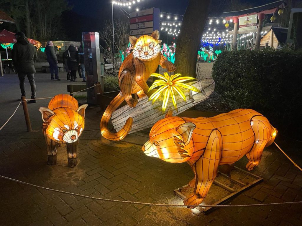 rode panda's avond In de avond naar Tiergarten Kleve, vanwege 65 jaar dierentuin. Tot 30 maart 2024 een lichtfestival met dieren!