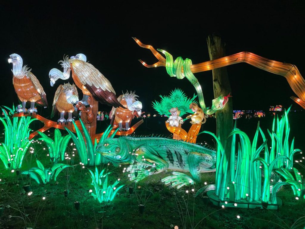 In de avond naar Tiergarten Kleve, vanwege 65 jaar dierentuin. Tot 30 maart 2024 China Lights festival. Een lichtfestival met dieren! Foto's 