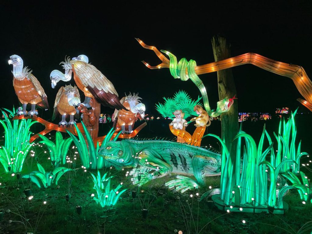 In de avond naar Tiergarten Kleve, vanwege 65 jaar dierentuin. Tot 30 maart 2024 China Lights festival. Een lichtfestival met dieren! Foto's