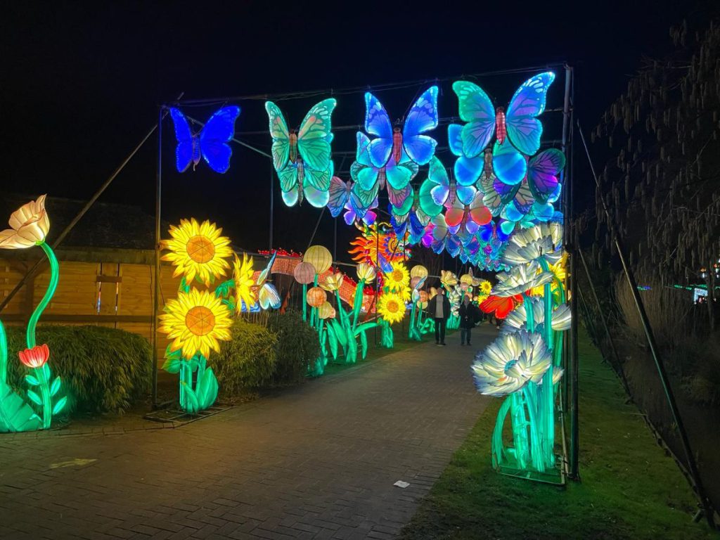 Vlinders, bloemen tunnel met led lichtjes. In de avond naar Tiergarten Kleve, vanwege 65 jaar dierentuin. Tot 30 maart 2024 een lichtfestival met dieren!
