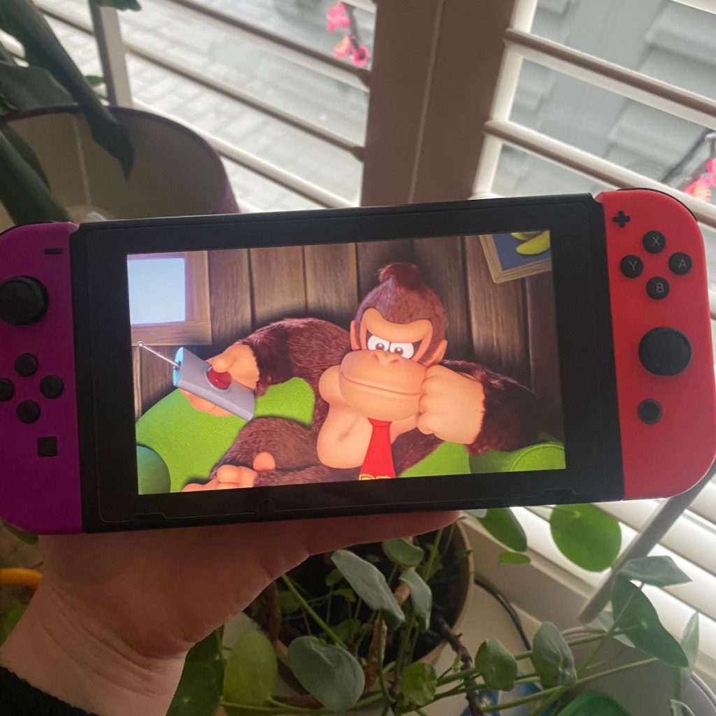 switch nintendo game spel aap