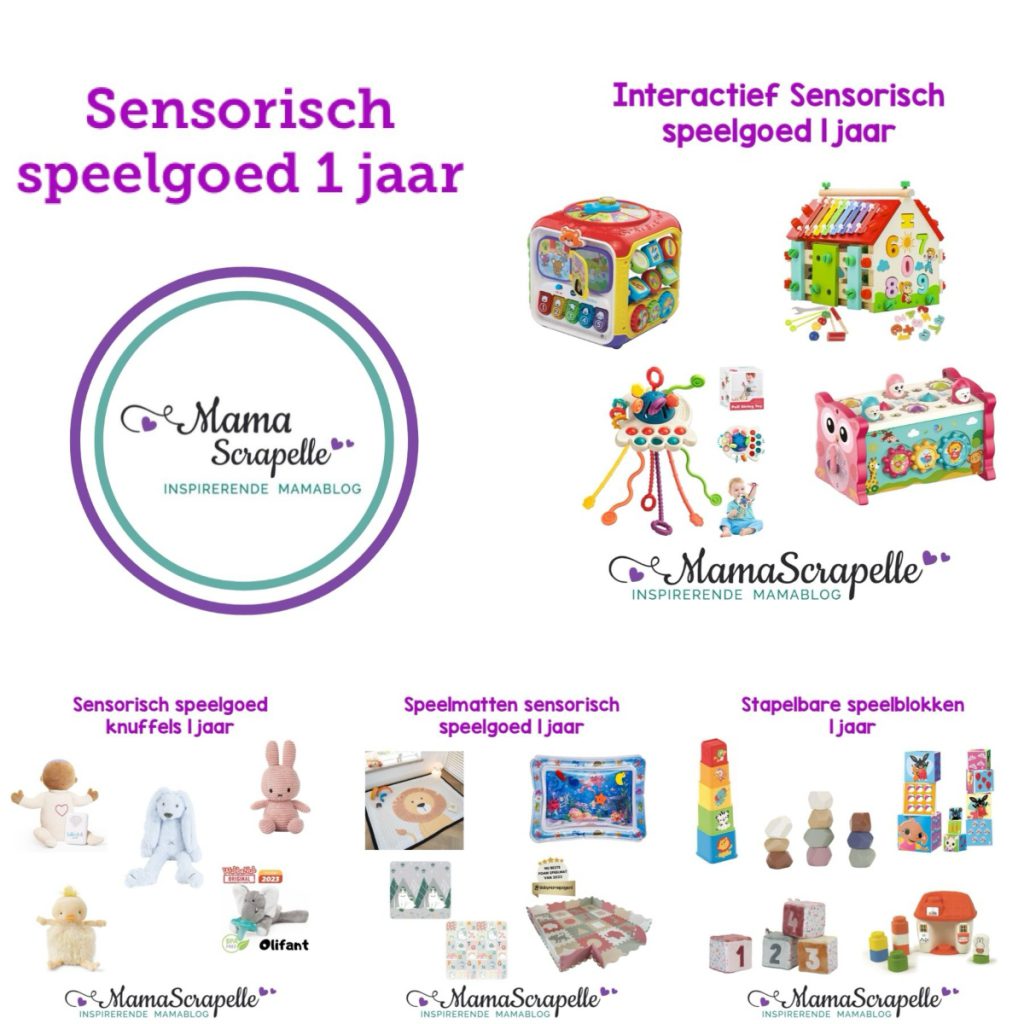 sensorisch speelgoed 1 jaar