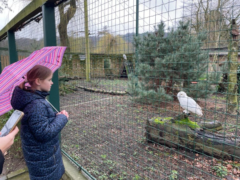 Tiergarten Kleve