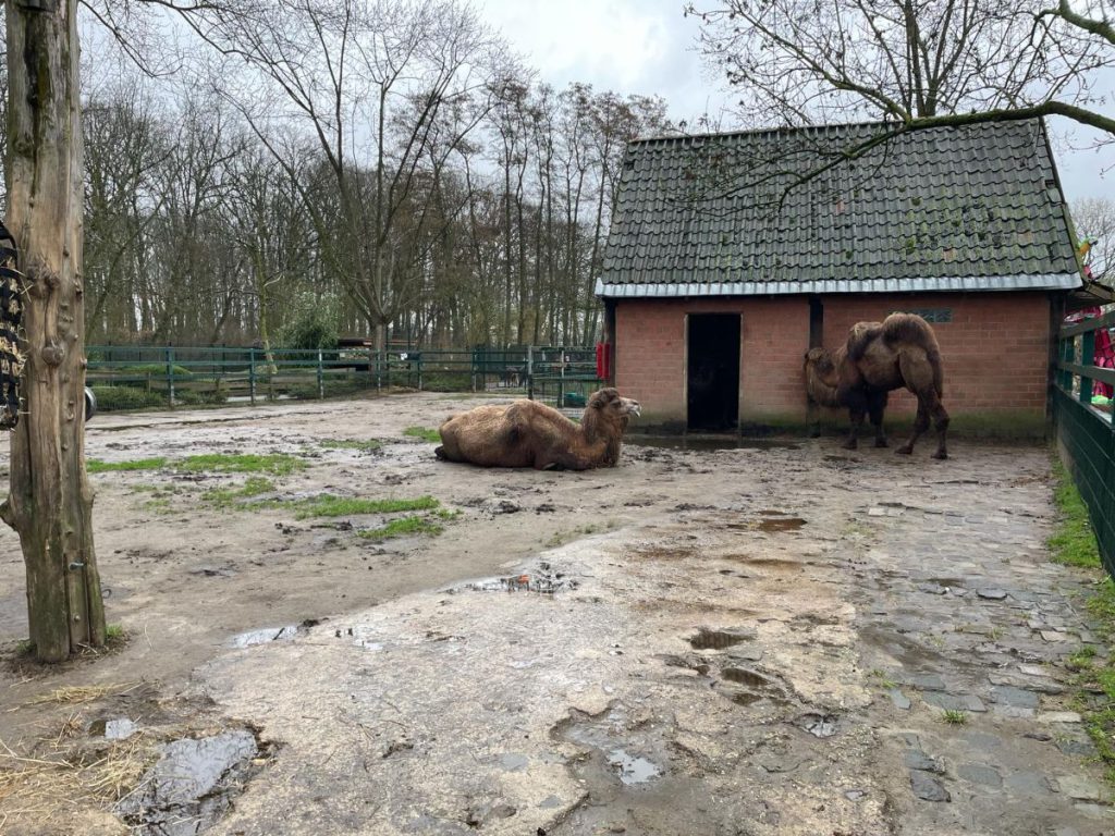 Tiergarten Kleve
