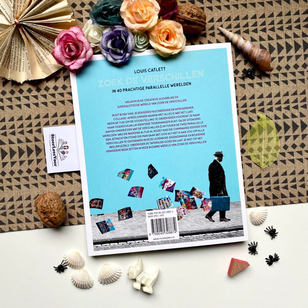 Zoek de verschillen voorkant zoekboek volwassenen cadeautip mus kunst kunstig parallel louis catlett