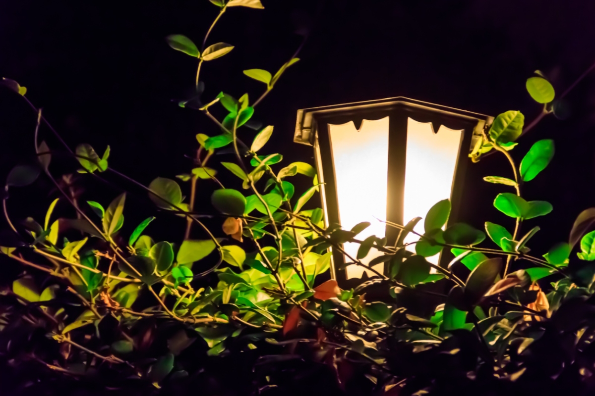 gezellige tuinverlichting lantaarn lamp