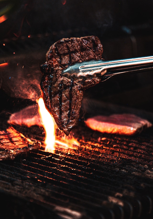 bbq boot Amsterdam verkennen op het water