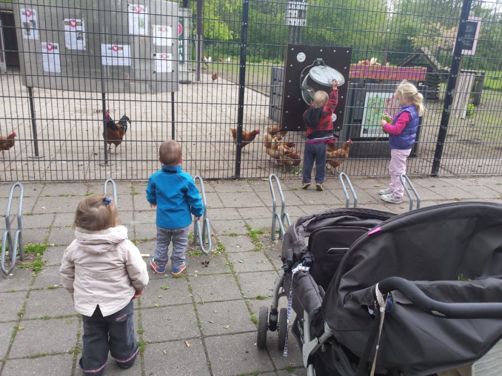 veilig op stap met een peuter kinderwagen met riempjes
