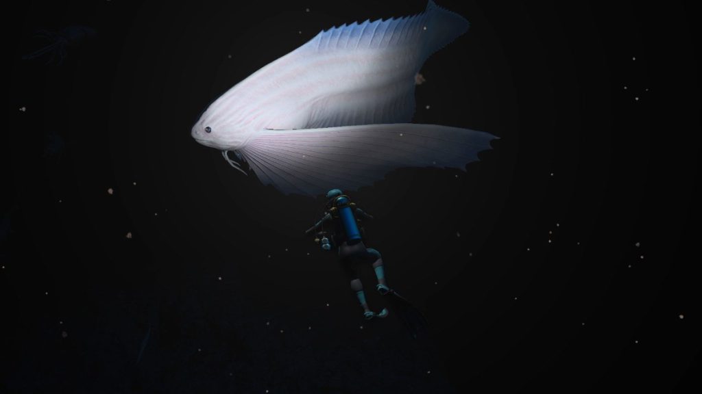 diepzeeduiken game switch endless ocean luminous
