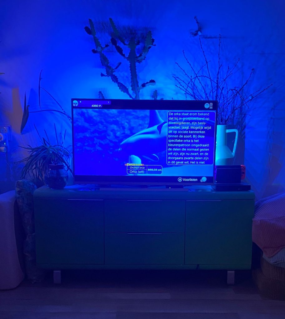 diepzeeduiken game switch endless ocean luminous