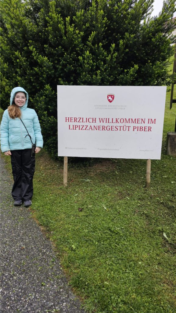Lipizzaner paarden