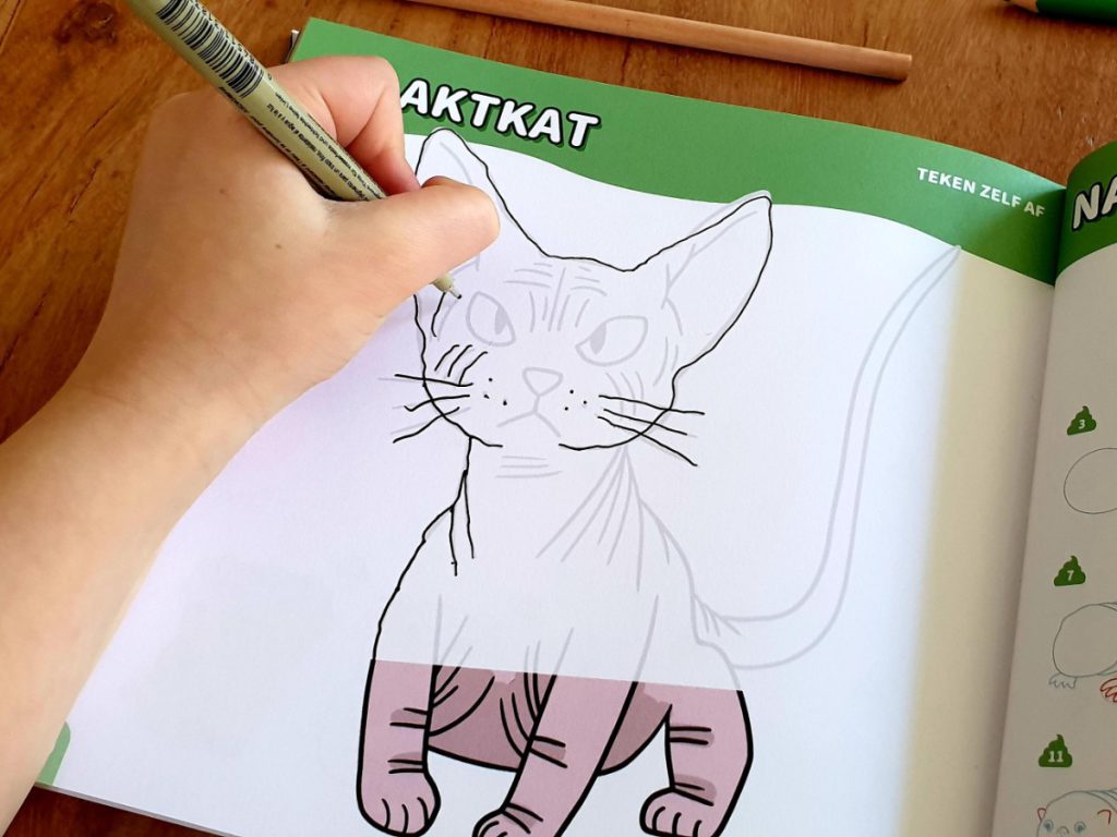 Vies tekenen doe je zo! een naaktkat tekenen