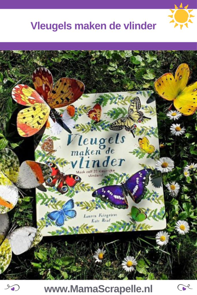 vleugels maken de vlinder