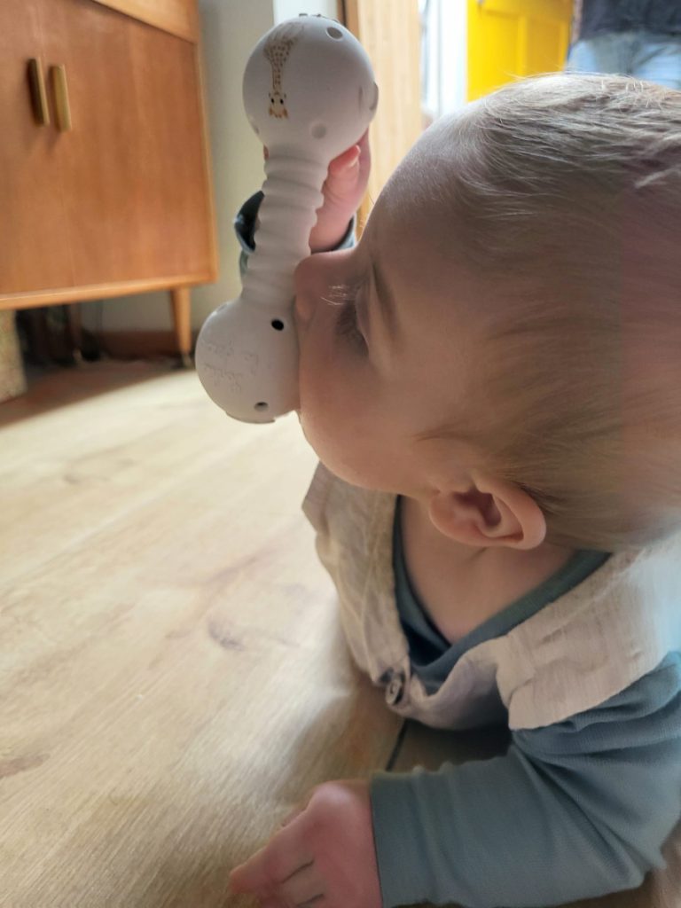bijtrammelaar Spelend leren met Sophie de Giraf