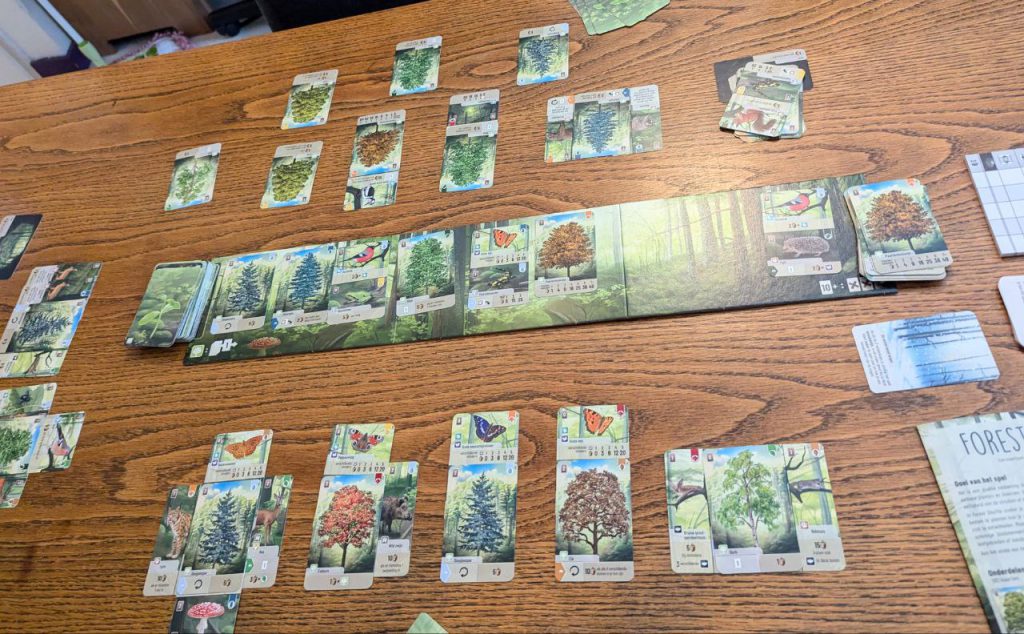 tijdens het spelen van Forest Shuffle