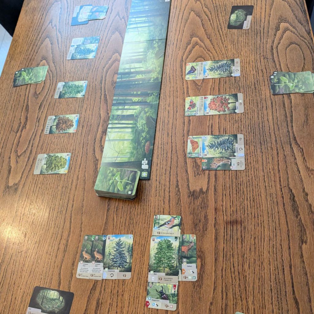 na een paar rondjes winnaar speelgoed van het jaar 2024