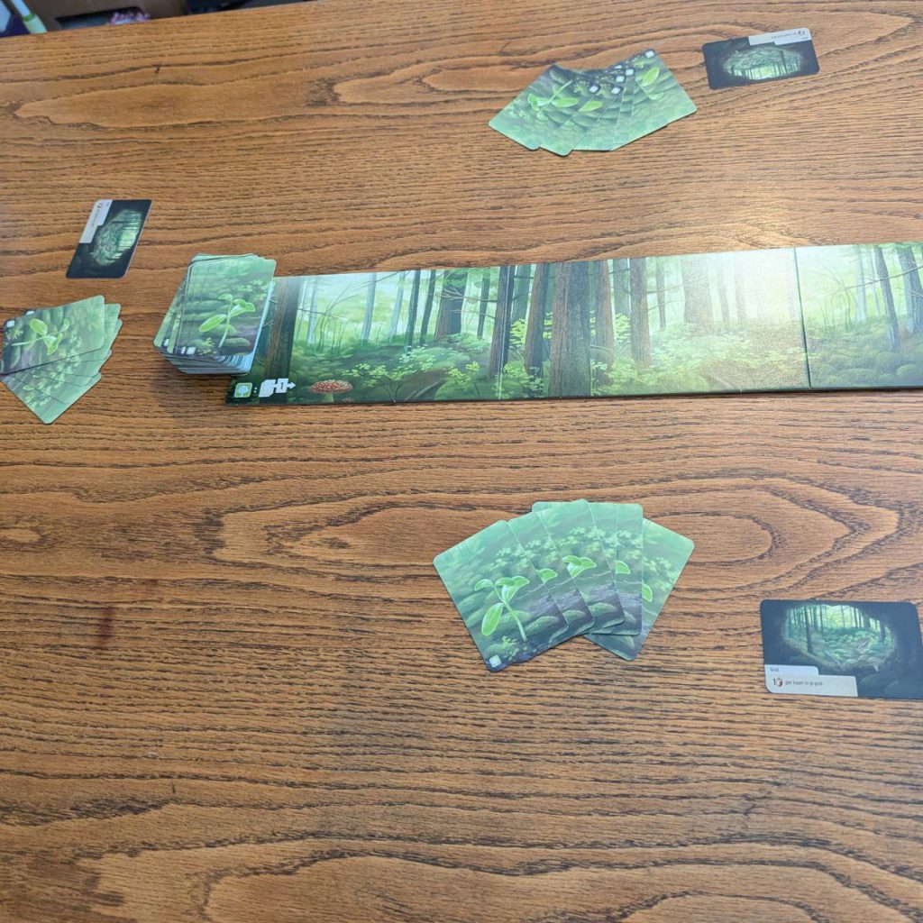 opstelling voor 3 personen Forest Shuffle