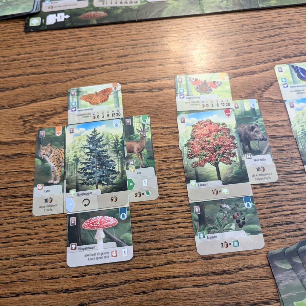 voorbeeld van een volle boom winnaar speelgoed van het jaar 2024