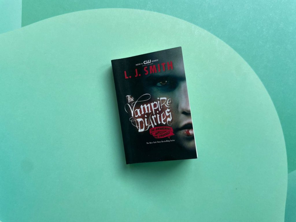mini boekje vampire diaries