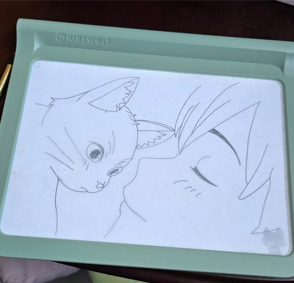 Kidydraw Pro Winnaar Speelgoed van het jaar 2024 STEAM